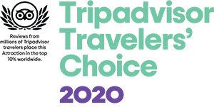 Tripadvisor Travelers' Choice 2020